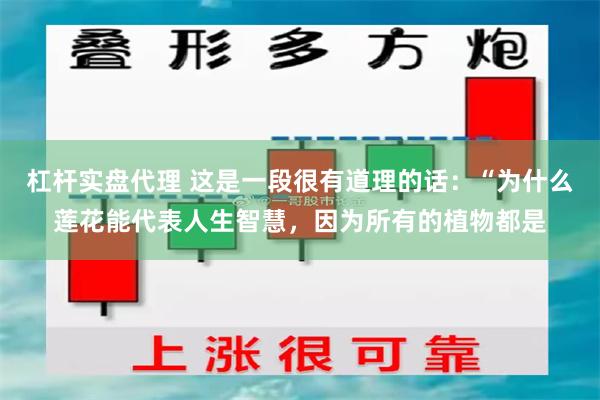 杠杆实盘代理 这是一段很有道理的话：“为什么莲花能代表人生智慧，因为所有的植物都是