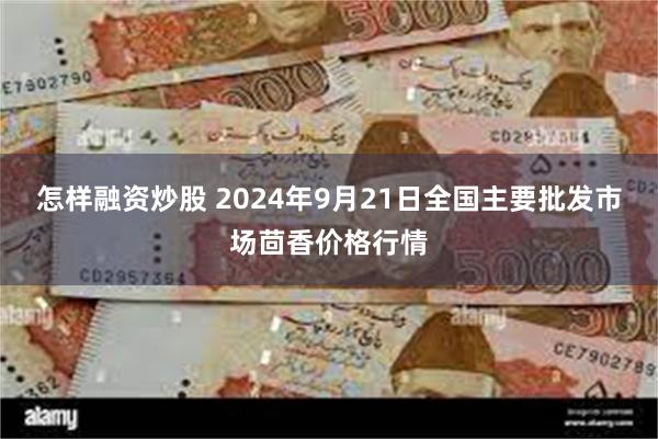 怎样融资炒股 2024年9月21日全国主要批发市场茴香价格行情