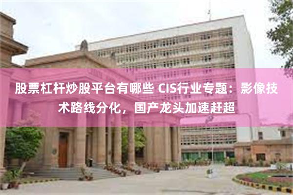 股票杠杆炒股平台有哪些 CIS行业专题：影像技术路线分化，国产龙头加速赶超