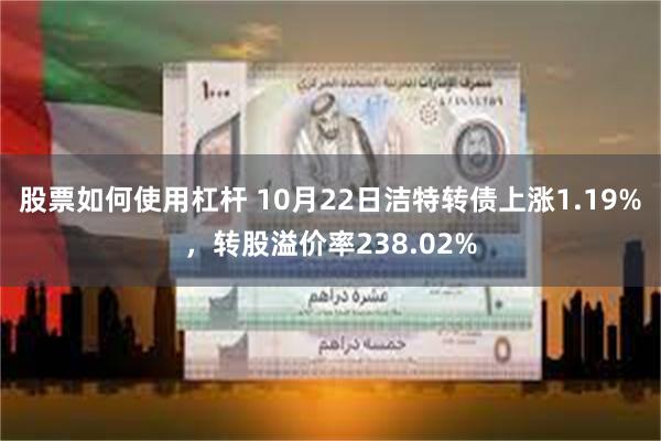 股票如何使用杠杆 10月22日洁特转债上涨1.19%，转股溢价率238.02%