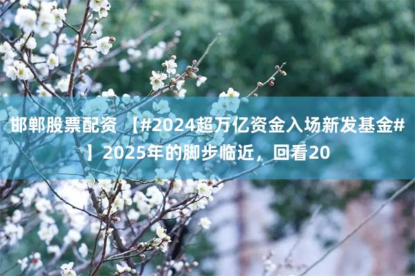 邯郸股票配资 【#2024超万亿资金入场新发基金#】2025年的脚步临近，回看20