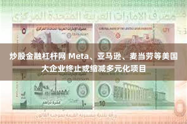 炒股金融杠杆网 Meta、亚马逊、麦当劳等美国大企业终止或缩减多元化项目