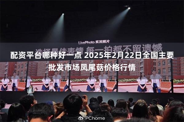 配资平台哪种好一点 2025年2月22日全国主要批发市场凤尾菇价格行情